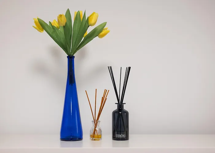 Home2book Capital Haven Fuerteventura Hébergement de vacances